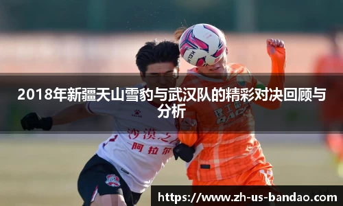 2018年新疆天山雪豹与武汉队的精彩对决回顾与分析