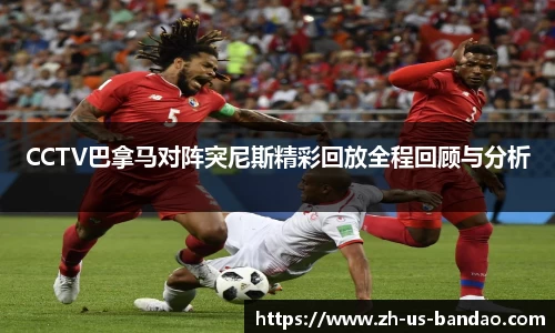 半岛体育